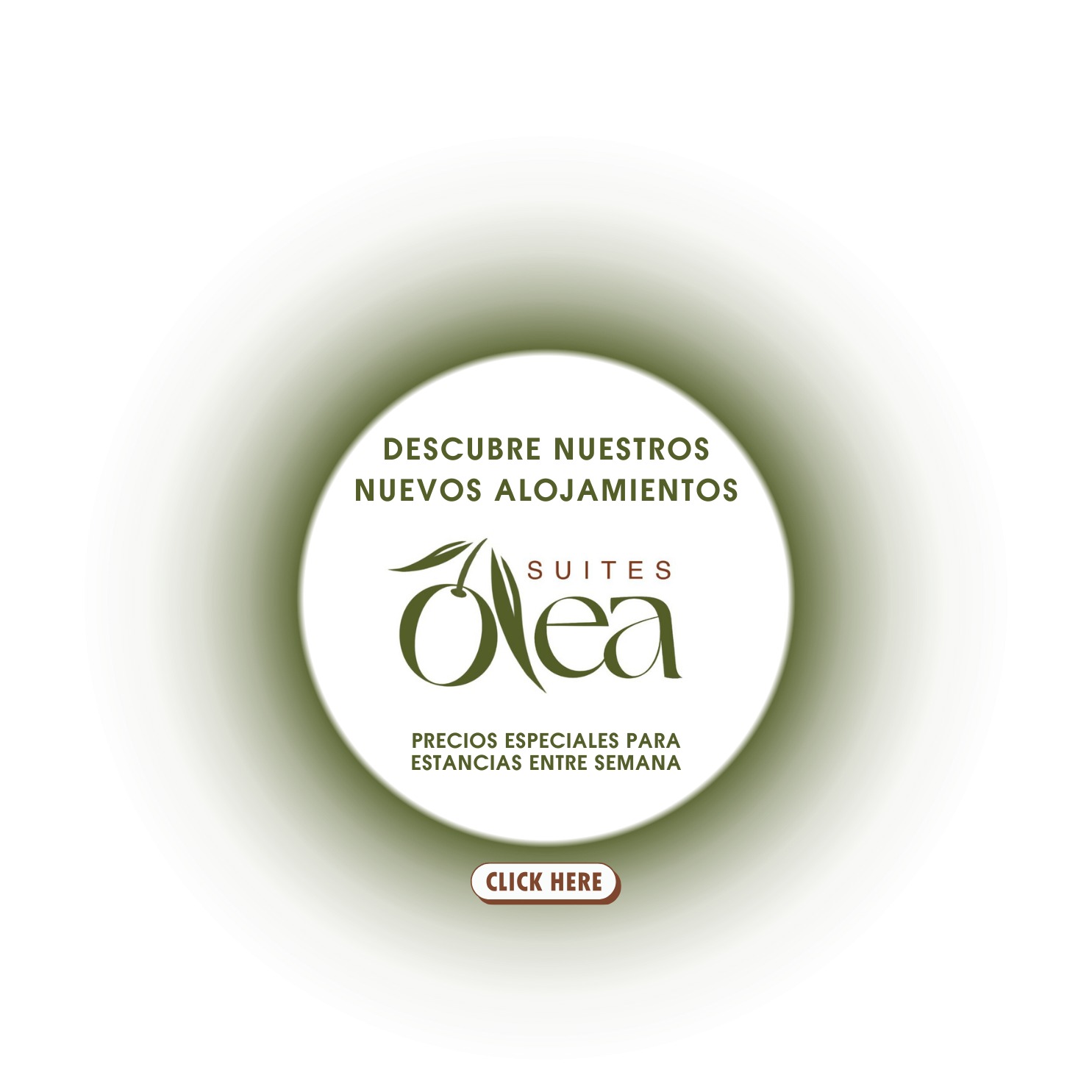 PROMO OLEA SUITES